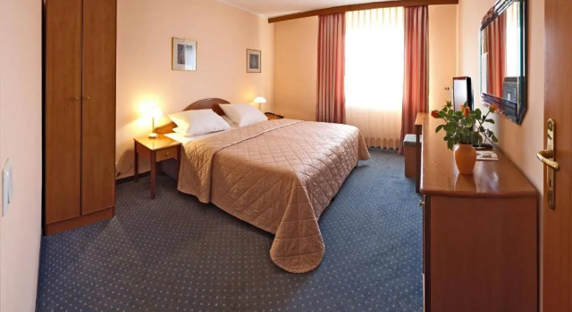 Двухместный номер Standard Hotel Rubin