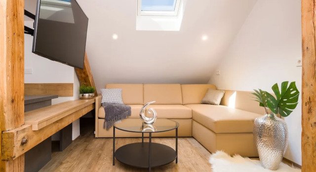 Апартаменты Deluxe Vila Emona