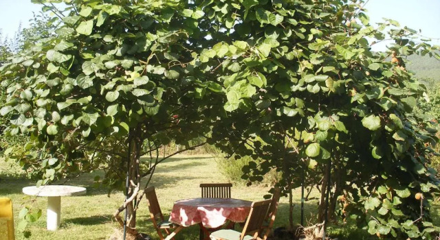 Коттедж c 1 комнатой Petite Maison de Village