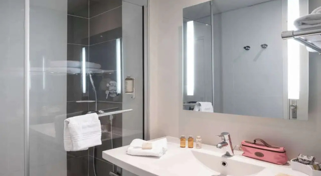 Двухместный номер Classic Hôtel Mercure Lille Aéroport