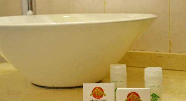 Двухместный номер Standard Alpino Hotel