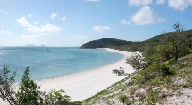 Апартаменты Poinciana 112 Bedrooms x3 Free Buggy