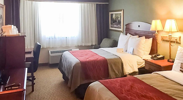 Четырёхместный номер Standard Comfort Inn Springfield
