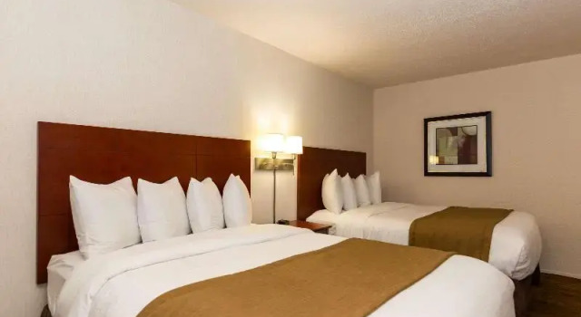 Номер Standard Quality Inn & Suites