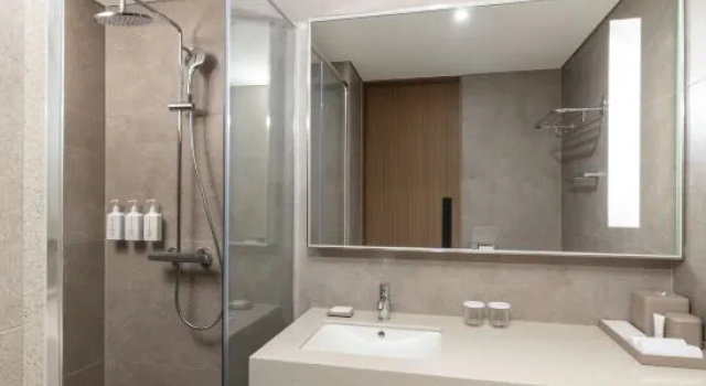 Номер Standard Hyatt Place Seoul Pangyo