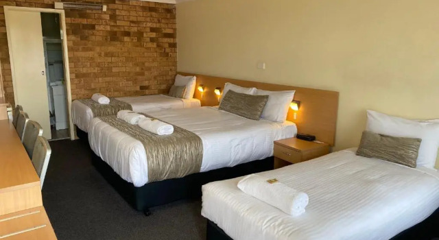 Семейный номер Standard Maitland City Motel
