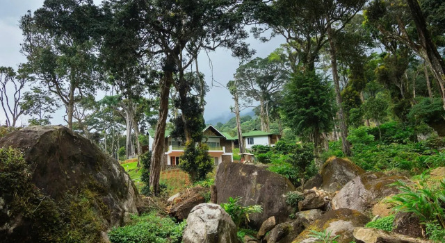 Neelakurunji Plantation Munnar