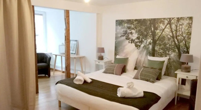 Номер Standard Дуплекс с 5 комнатами Colmarappart Rue Des Clefs