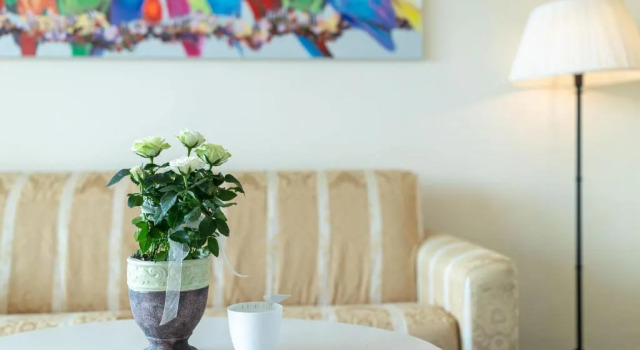Люкс Boutique Hotel St Georgen