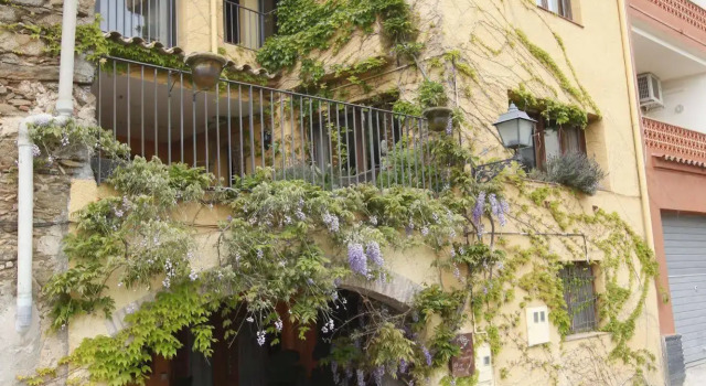 El Cau de Palau, Reservar Hotel Palau-saverdera 