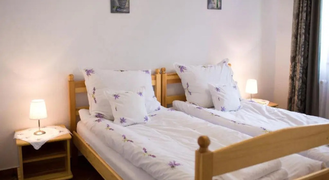 Номер Standard Canpol-Julls Art Hotel