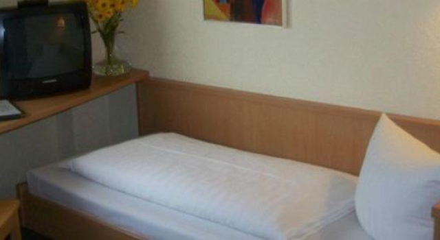 Одноместный номер Standard Hotel Goldener Karpfen