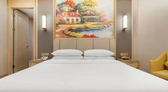 Двухместный люкс Superior Vienna International Hotel (Chengdu Happy Valley, Dongzikou Metro Station)