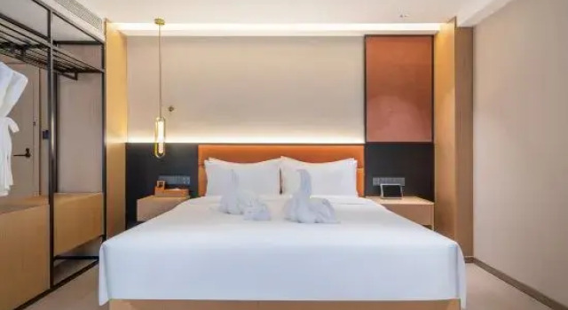 Люкс Chengdu Yifei Rezen Hotel (Chunxi Taikoo Li Store)