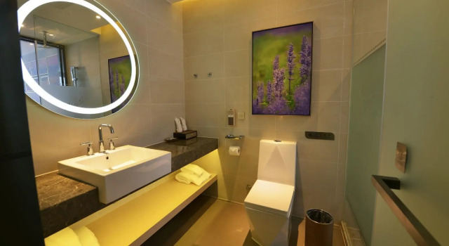 Двухместный номер Deluxe Lavande Hotel Qingyuan Sports Park City Government