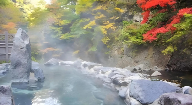Odaira Onsen Takimiya, Book Hotel Yonezawa Yamagata