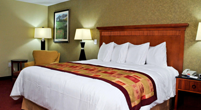 Двухместный номер Standard Best Western Plus Layton Park Hotel