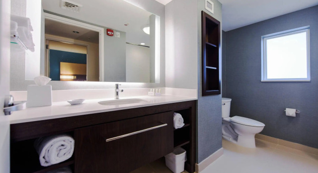 Двухместный люкс c 1 комнатой Residence Inn by Marriott Philadelphia Glen Mills/Concordville