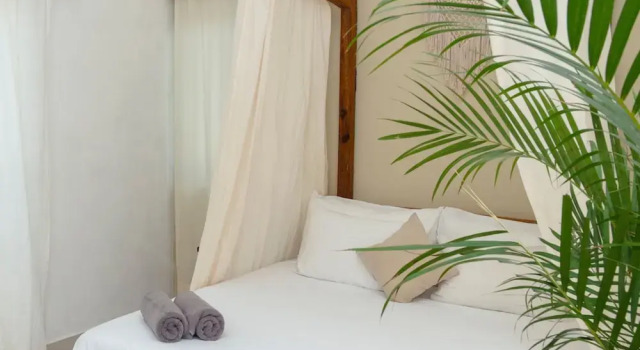 Двухместный номер Deluxe с видом на бассейн Mezcal Boutique Hotel