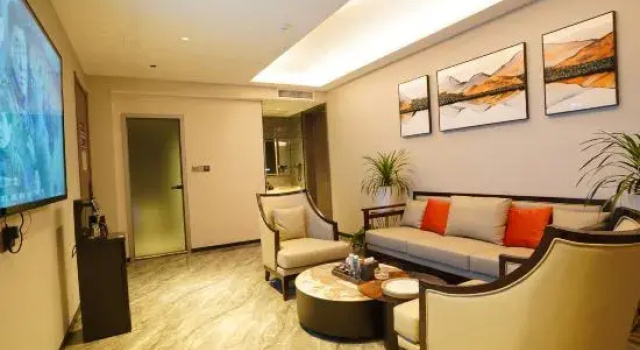 Люкс Business Manlin Shengtai Theme Hotel