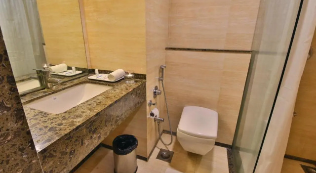 Двухместный номер Executive Ginger Vadodara ,Alkapuri