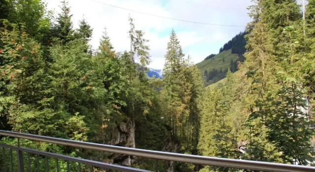 Номер Premier Griesalp Hotels
