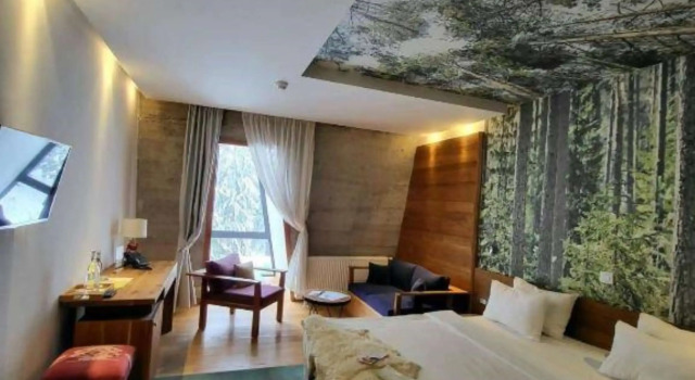 Двухместный номер Standard с балконом Pino Nature Hotel, BW Premier Collection