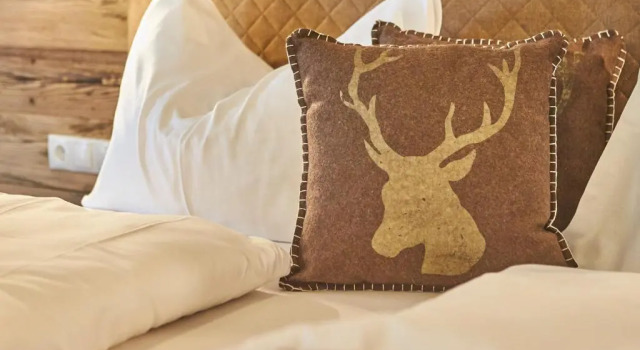 Апартаменты c 1 комнатой AlpenParks Hotel & Apartment Sonnleiten