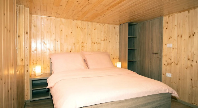 Номер Economy Guest House Alenka