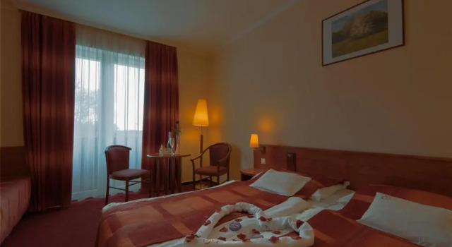 Двухместный номер Standard с балконом Erzsébet Park Hotel