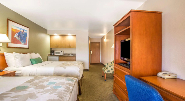 Четырёхместный люкс Superior Hawthorn Suites by Wyndham Tempe