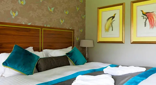 Номер Standard The Cornwall Hotel Spa & Lodges