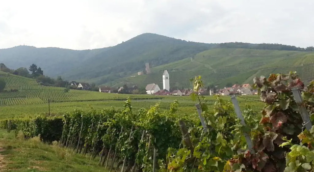 La maison des vignes, Забронировать Отель Отели Alsace Wine Route с парковкой, Парковка