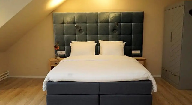Номер Deluxe Hotel Hoevevoorde