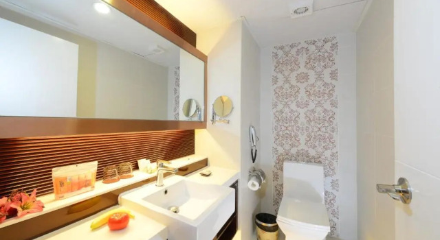 Standardní Dvoulůžkový s manželskou postelí pokoj Hotel Metropole