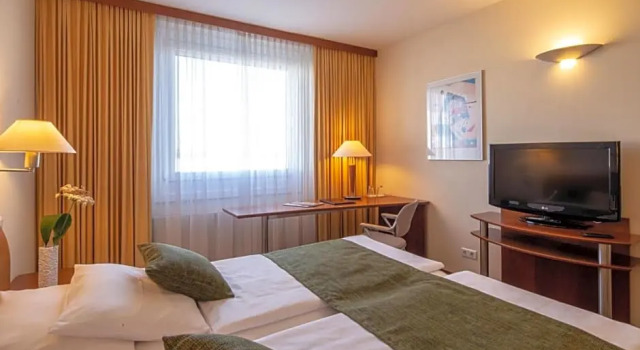 Номер Classic Globana Airport Hotel