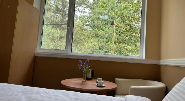 Номер Standard Отель Forest Relax