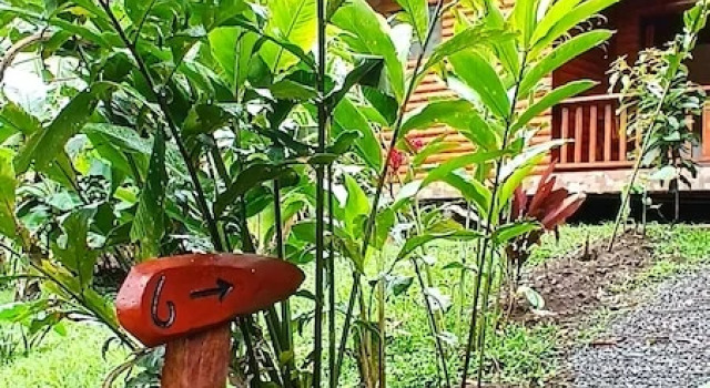 Номер Deluxe Arenal Rústic Lodge