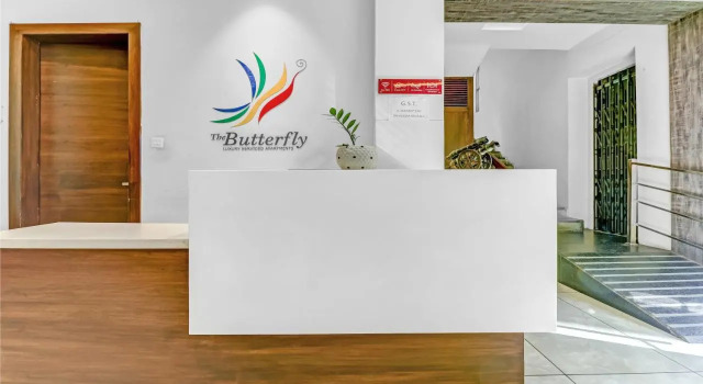 Treebo Trend The Butterfly