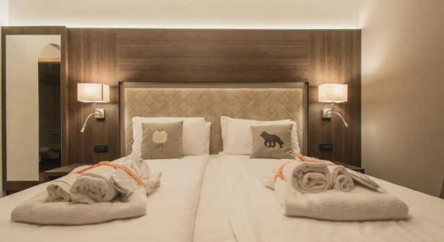 Двухместный номер Comfort X Alp Hotel