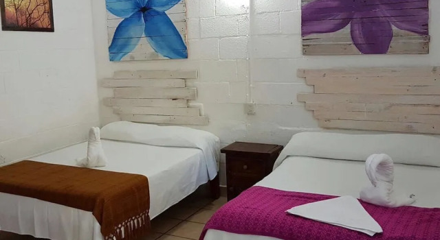 Трёхместный номер Standard Posada Amor Hotel Boutique