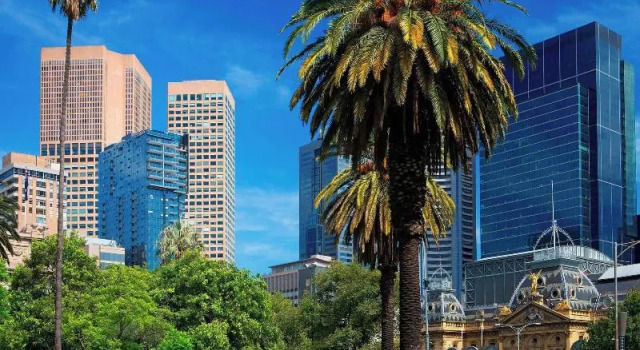 Четырёхместный номер Standard с видом на сад Sheraton Melbourne Hotel