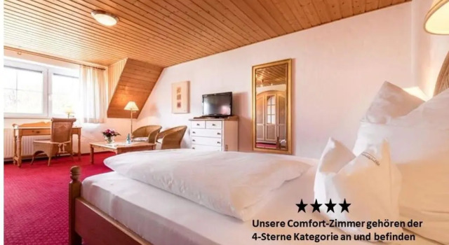 Номер Comfort Hotel Antoniushütte