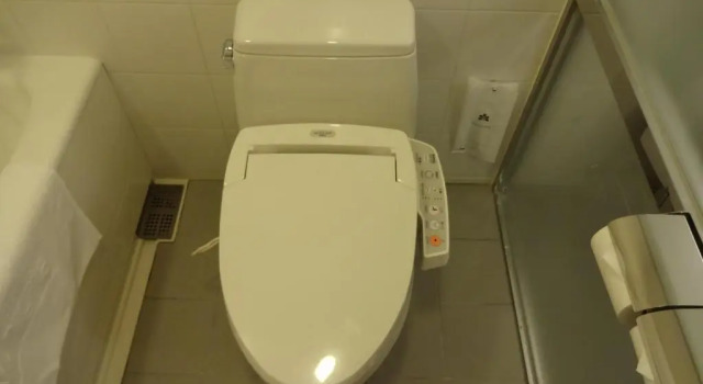 Standard Dreier Zimmer Hotel Nikko Niigata