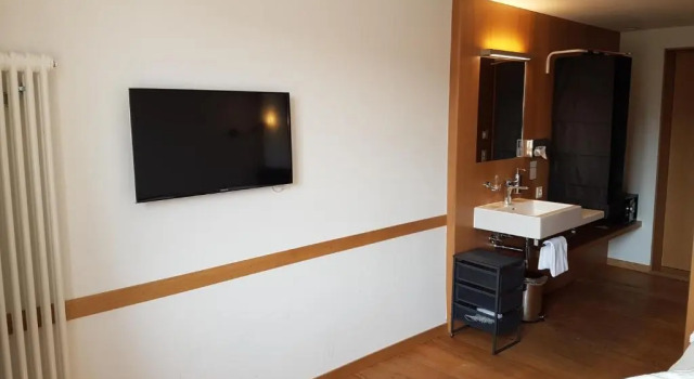 Одноместный номер Standard с видом на реку East West Hotel Basel