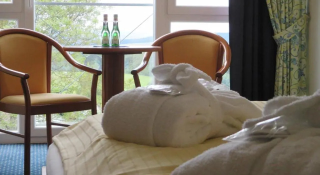 Одноместный номер Comfort Panorama Hotel