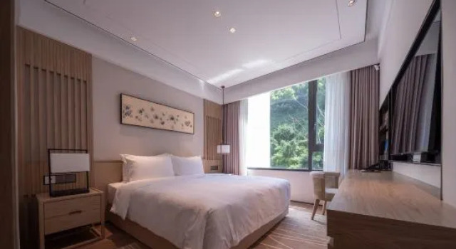 Люкс Huangshan Citied Utopia Torreya Valley Hotel