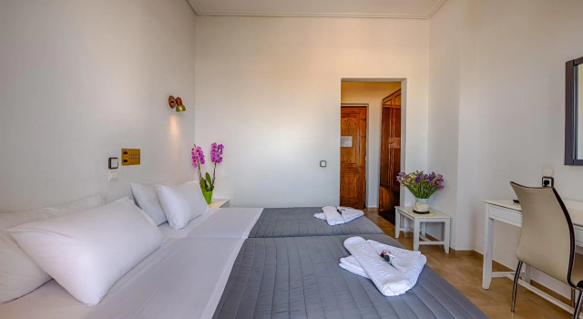 Одноместный номер Standard Alexis Hotel