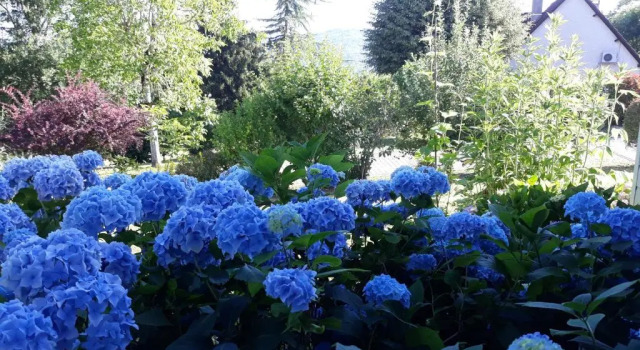 Chalet Rocamadour, Rezervovat Chata Hotely v Lanzac s parkováním, Parkování