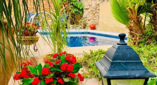 Двухместный номер Standard с видом на бассейн Boutique Hostal Lorca